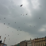 KrakowPoland KrakowPoland