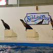 hokkaido_402.jpg
