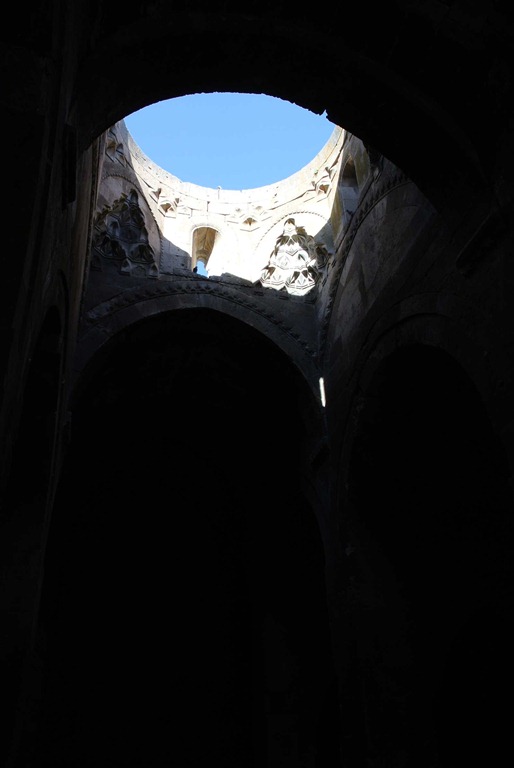 DSC_0117 DSC_0117