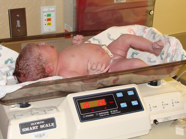 [DSC09980.jpg]