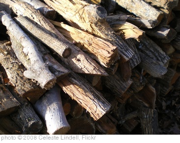 'Wood pile' photo (c) 2008, Celeste Lindell - license: http://creativecommons.org/licenses/by/2.0/