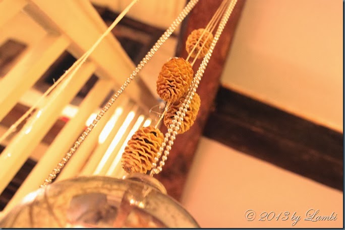 IMG_8005 IMG_8005