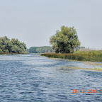 DSCN8184.JPG