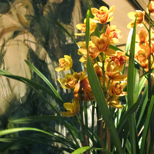 Sunny orchids perched in clusters throughout the rooms.