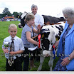 Cattle 021.jpg