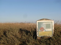 IMG_2519 IMG_2519