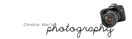 Header til fotoblogg