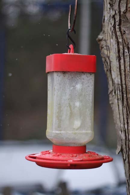 [echs%2520homecoming%25202012%2520022%255B1%255D.jpg]