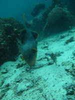 IMG_0540.JPG