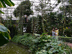 p1300355081(1).jpg