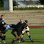 DSC07930.JPG