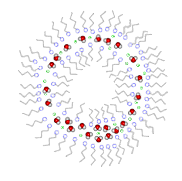 UMESH BERADIYA Std 10 topic soap and synthetic detergent and PHBV