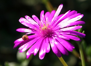 [IMG_1594%255B5%255D.jpg]