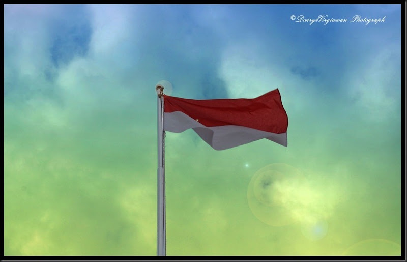 my flag