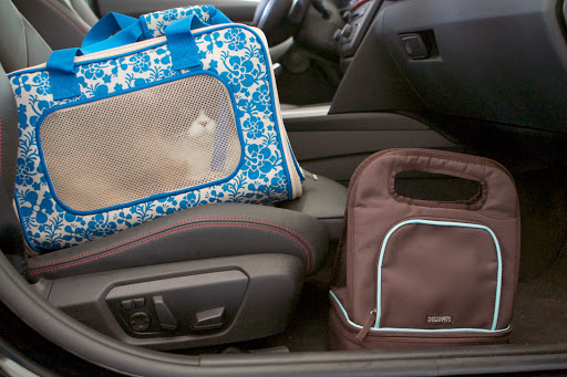 There's Vivaldi in the front seat.  Now we just need Uncle Carlos to start driving.