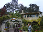 IMG00504-20091010-1249.jpg
