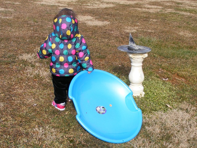 [DSCF6017%255B3%255D.jpg]