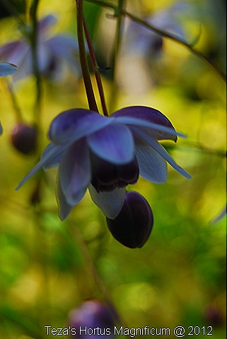 [DSC_00167.jpg]