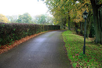 Country lane