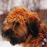 Abi - DSC_0098.jpg
