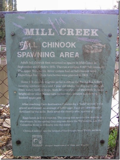 IMG_5796 Mill Creek Fall Chinook Spawning Area Sign in Salem, Oregon on March 25, 2007