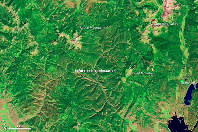 The Thematic Mapper on Landsat 5 acquired this image of lodgepole pine forests near Grand Lake, Colorado on 11 September 2005, before a severe bark beetle infestation led to die-off of the tree canopy. NASA Earth Observatory image created by Robert Simmon, using Landsat data provided by USGA