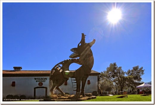 150131_Healdsburg_Coyote_Tedrick_WilsonWinery_1