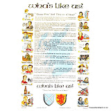 Teatowel - "Wha's Like Us"