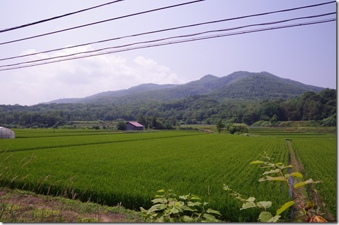 IMGP6424 IMGP6424