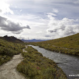 Caminhando pelo Denali National Park, Alaska, EUA