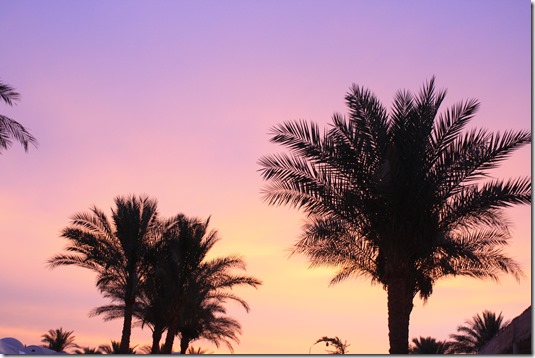 Egypt 957 Egypt 957