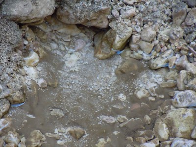 DSCN4013.jpg