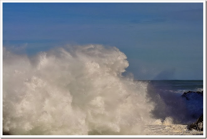 DSC_1611 DSC_1611
