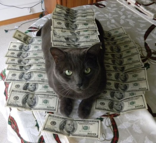 [rich-wealthy-cats-6%255B2%255D.jpg]