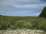 http://lh4.ggpht.com/-LehjDHu1jvY/Tf5l7zQmBvI/AAAAAAAAA90/70jksPuRwgI/Yport%252520%252528304%252529.jpg