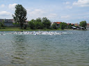 IMG_3233.JPG