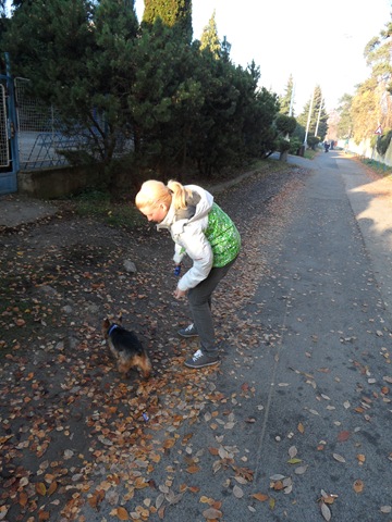 SAM_8800 SAM_8800