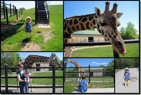 Zoo Pics for Blog1