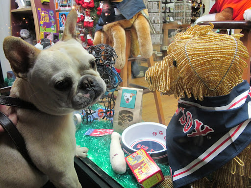 You're right, Franny.  It's a pet store.  However, I don't think that Martha would approve of what this dog is wearing.  After all, Martha is a Yankees fan.
