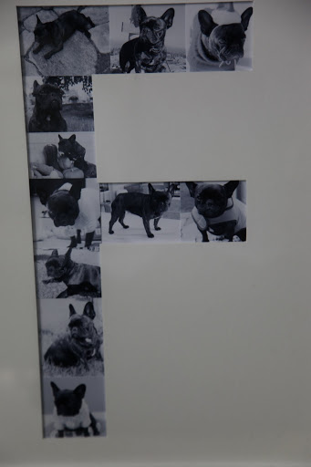 This 'F' for Francesca is made from all the photos that get taken of her.