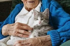 [elder_women_with_cat2.jpg]