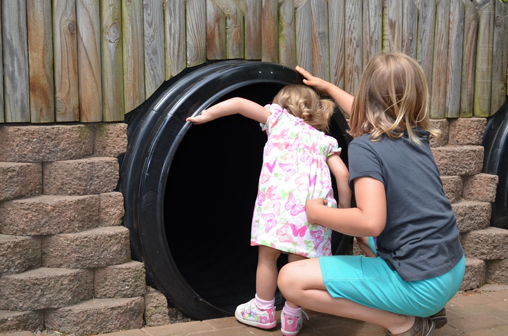 [DSC_0854%255B3%255D.jpg]