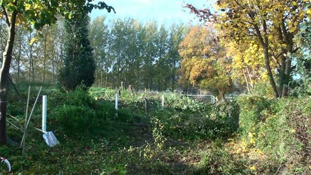 [Busch2%255B4%255D.jpg]