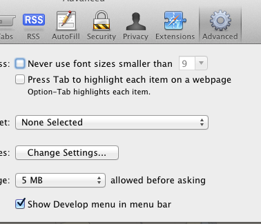 Enable Develop Menu Bar