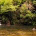 Hooker Falls, DuPont State Forest NC - swimming hole