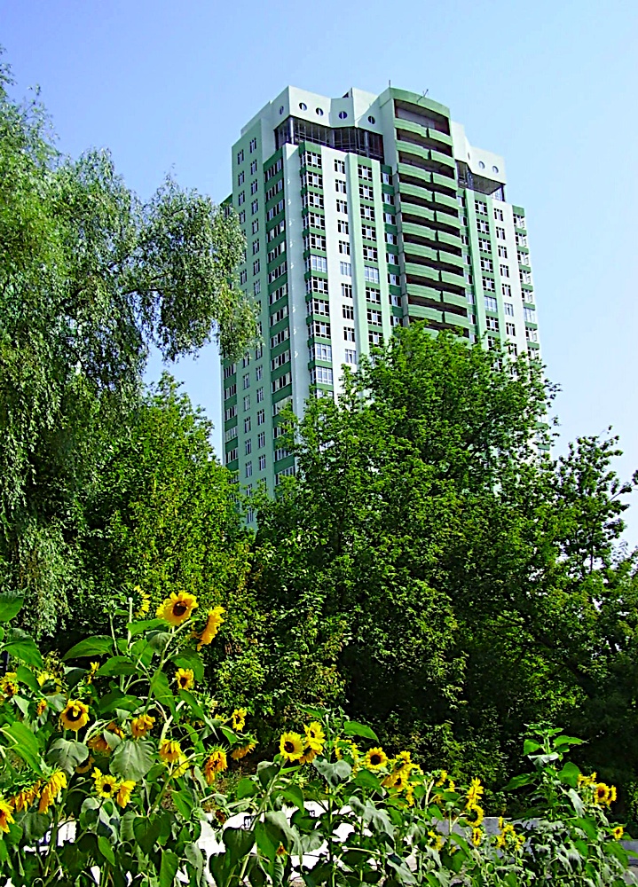 P8140019.JPG