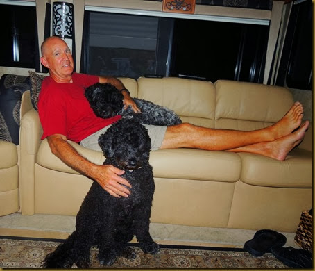 Rico in his favorite cuddling spot with Victor while Jetta gets attention too