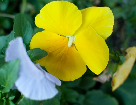 [DSC_3315%255B4%255D.jpg]