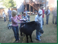 Ty horse 2a Ty horse 2a