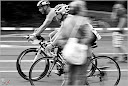 Roth_2010_150.jpg